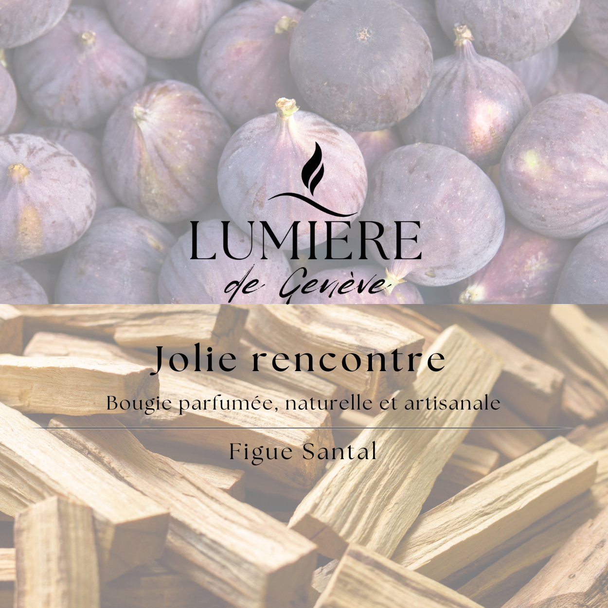 Bougie Jolie rencontre