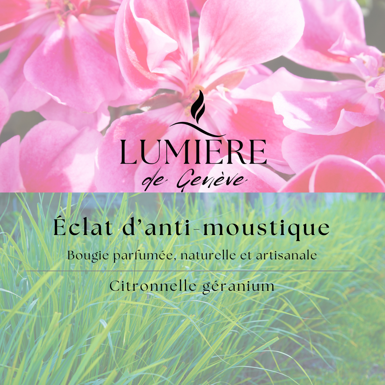 Bougie Éclat d'anti-moustique