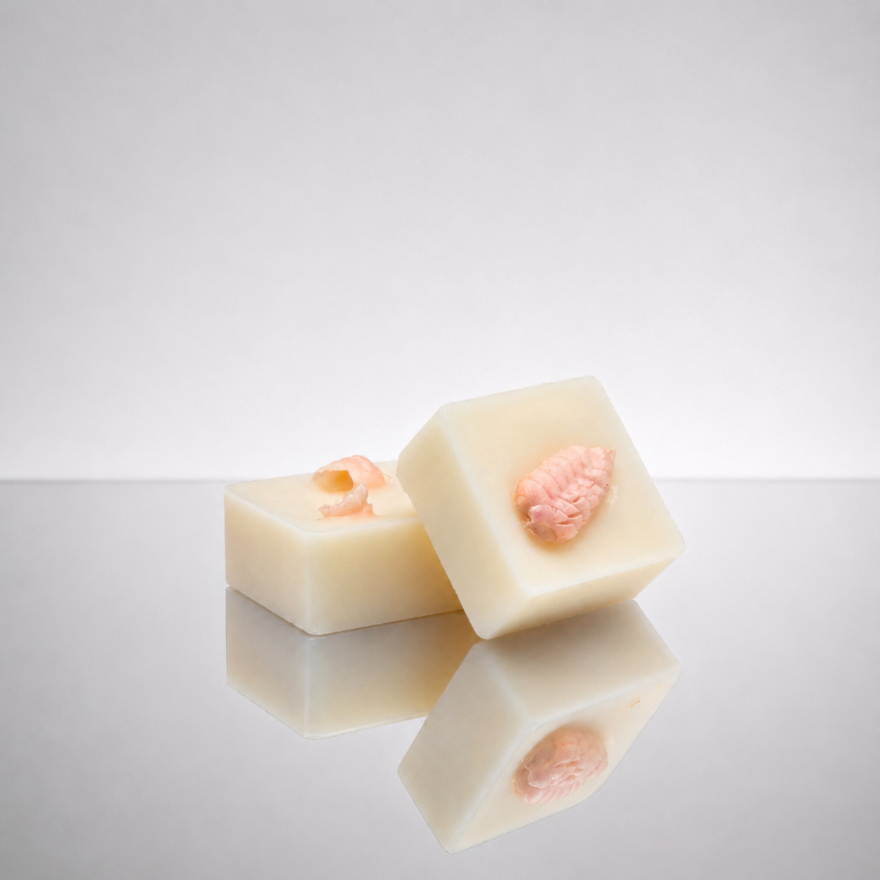 Fondant litchi
